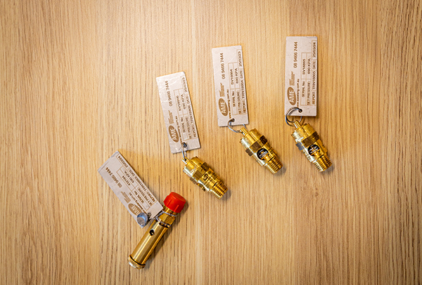 Pressure Relief Valves (PRVs)